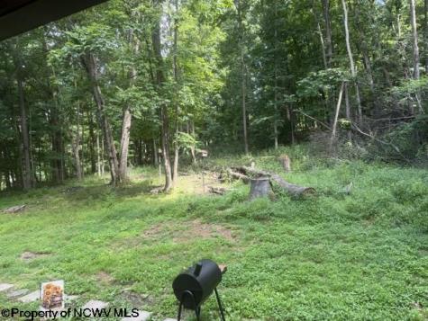 148 Hillcrest Drive Philippi WV 26416