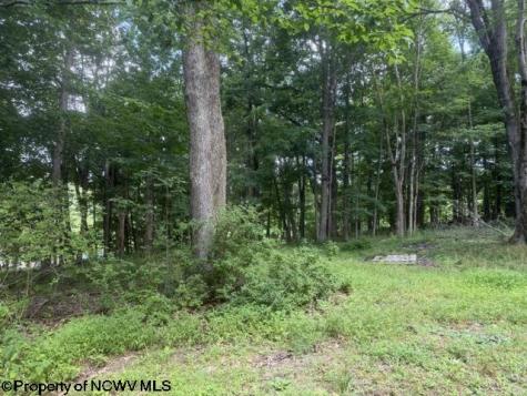 148 Hillcrest Drive Philippi WV 26416