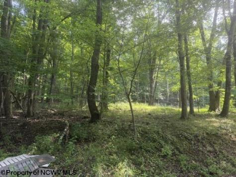 148 Hillcrest Drive Philippi WV 26416