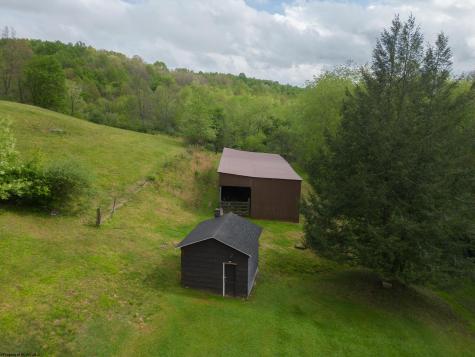 96 Fowler Road Flemington WV 26347