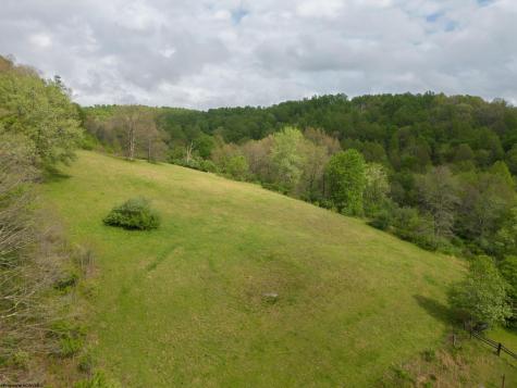 96 Fowler Road Flemington WV 26347