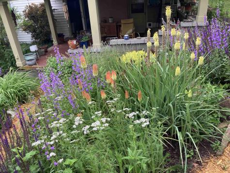 813 Ridgeway Avenue Morgantown WV 26505