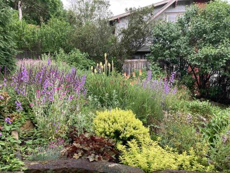 813 Ridgeway Avenue Morgantown WV 26505