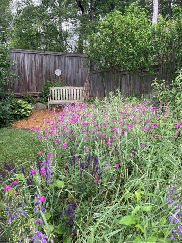 813 Ridgeway Avenue Morgantown WV 26505