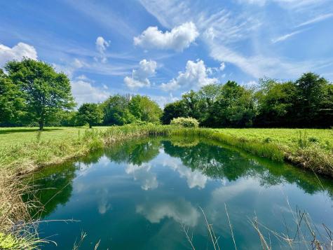 624 Arnold Hill Road Elkins WV 26241