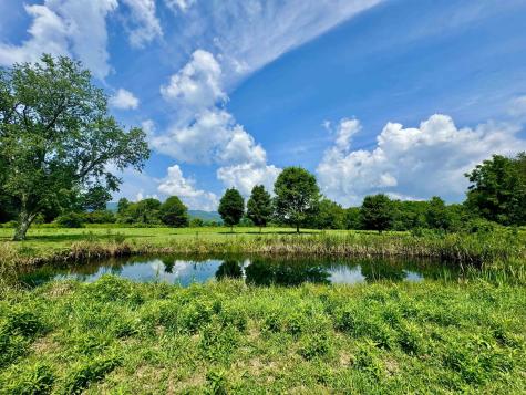 624 Arnold Hill Road Elkins WV 26241