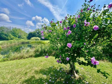 624 Arnold Hill Road Elkins WV 26241