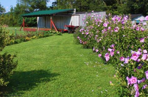 624 Arnold Hill Road Elkins WV 26241
