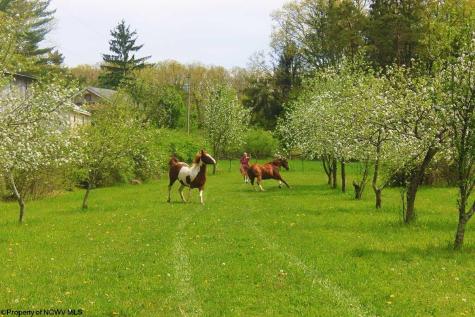 624 Arnold Hill Road Elkins WV 26241