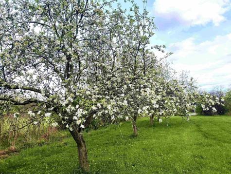 624 Arnold Hill Road Elkins WV 26241