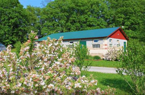 624 Arnold Hill Road Elkins WV 26241