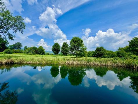 624 Arnold Hill Road Elkins WV 26241