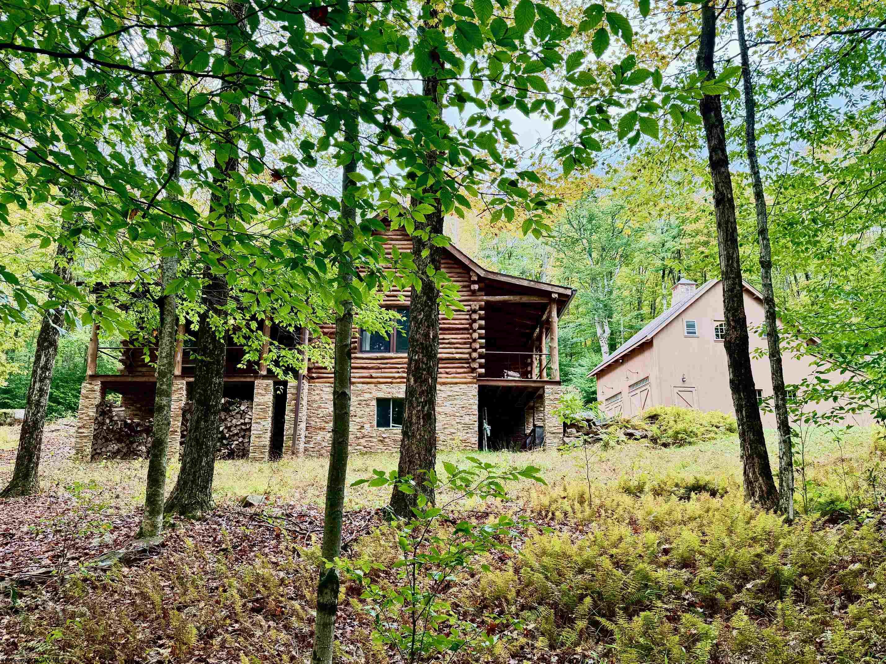 920 Sand Run Road Davis WV 26260-0000