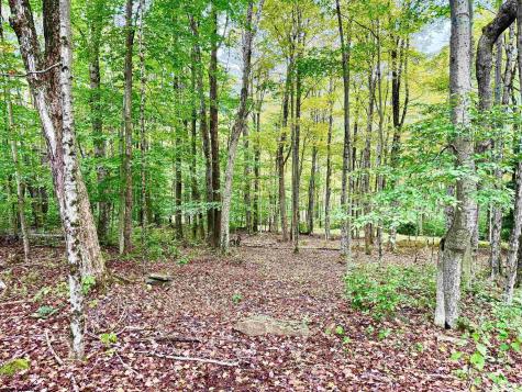 920 Sand Run Road Davis WV 26260-0000