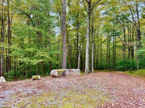 920 Sand Run Road Davis WV 26260-0000