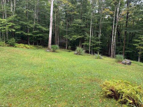 920 Sand Run Road Davis WV 26260-0000