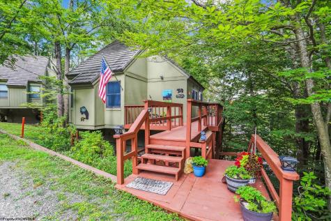 115 Grizzly Way Davis WV 26260