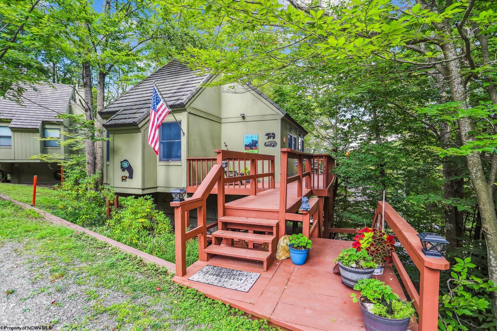 115 Grizzly Way Davis WV 26260