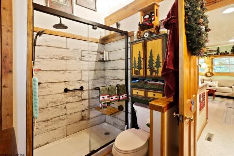 115 Grizzly Way Davis WV 26260