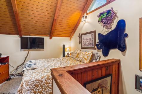 115 Grizzly Way Davis WV 26260