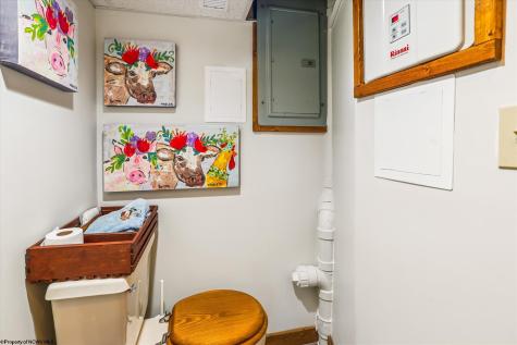 115 Grizzly Way Davis WV 26260