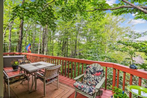 115 Grizzly Way Davis WV 26260