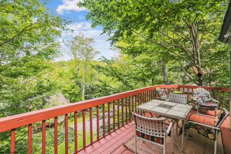 115 Grizzly Way Davis WV 26260