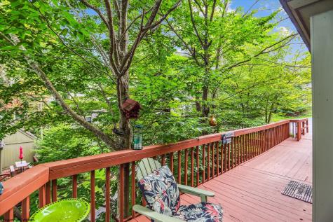115 Grizzly Way Davis WV 26260