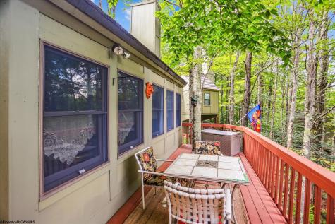 115 Grizzly Way Davis WV 26260