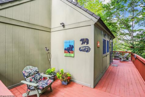 115 Grizzly Way Davis WV 26260