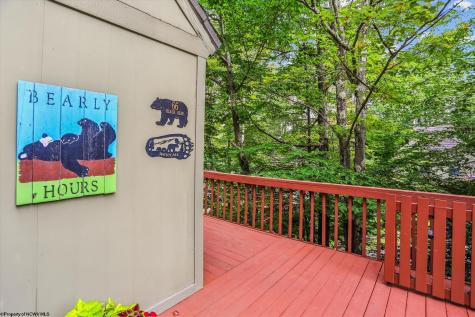 115 Grizzly Way Davis WV 26260