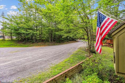 115 Grizzly Way Davis WV 26260