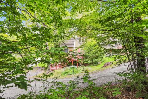 115 Grizzly Way Davis WV 26260