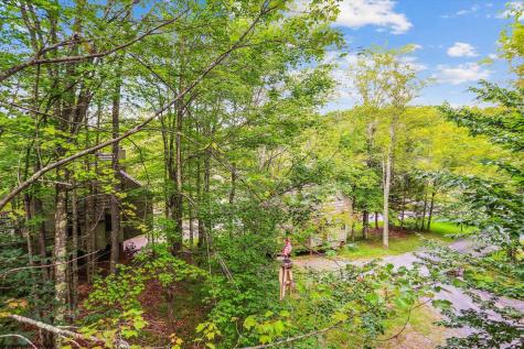 115 Grizzly Way Davis WV 26260