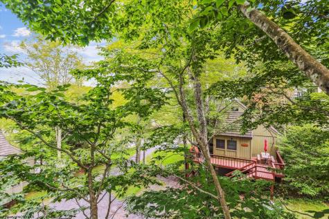 115 Grizzly Way Davis WV 26260