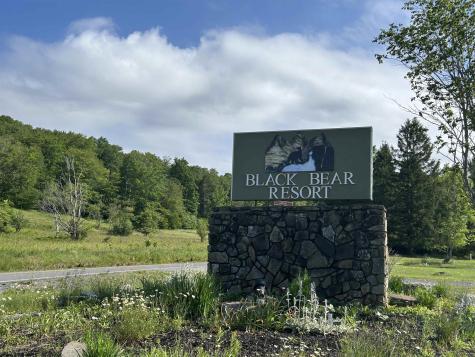 115 Grizzly Way Davis WV 26260