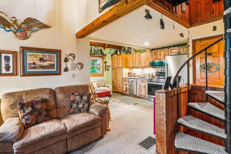 115 Grizzly Way Davis WV 26260