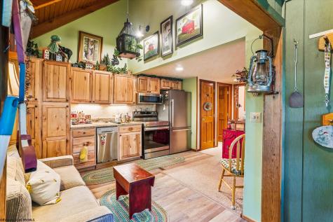 115 Grizzly Way Davis WV 26260