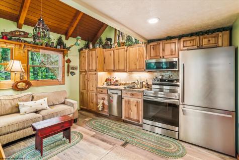 115 Grizzly Way Davis WV 26260
