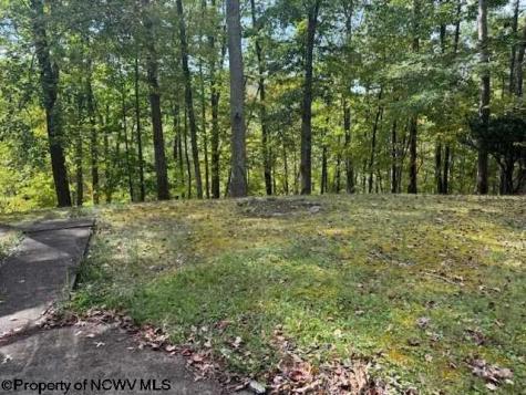 242 Bearhunter Estates Elkins WV 26241