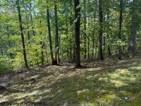 242 Bearhunter Estates Elkins WV 26241