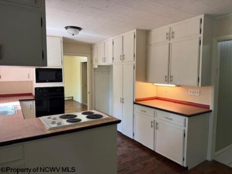 242 Bearhunter Estates Elkins WV 26241