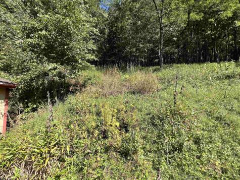 318 Harpertown Road Elkins WV 26241