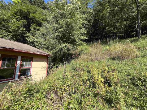 318 Harpertown Road Elkins WV 26241