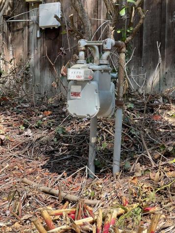 318 Harpertown Road Elkins WV 26241