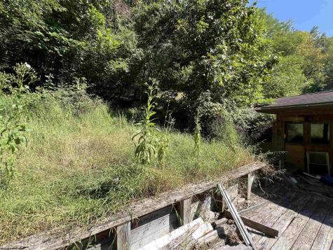 318 Harpertown Road Elkins WV 26241