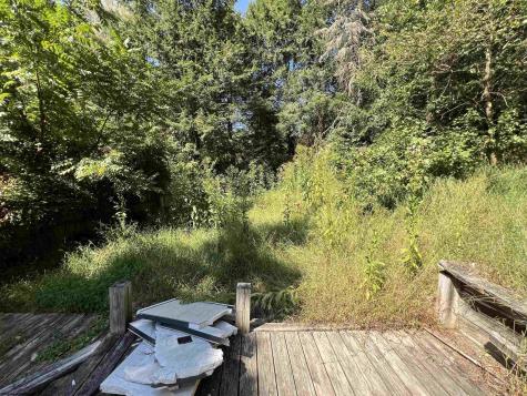 318 Harpertown Road Elkins WV 26241