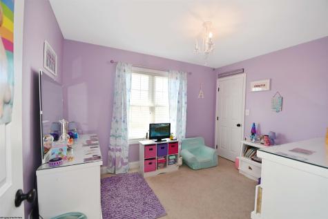 84 Allen Drive Bruceton Mills WV 26525