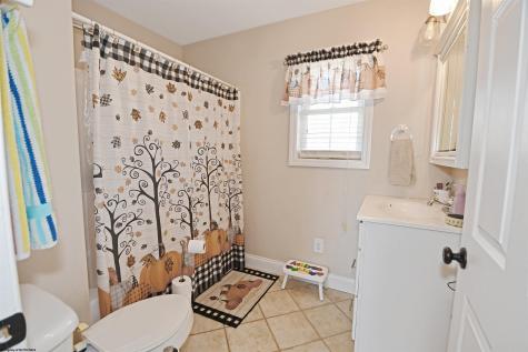 84 Allen Drive Bruceton Mills WV 26525