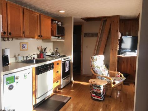 72 Red Squirrel Run Davis WV 26260